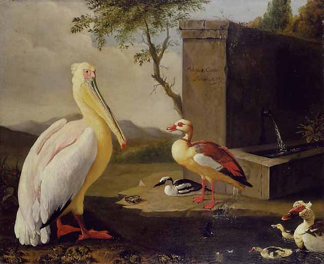 Pelican and ducks in a mountain landscape or Oriental Birds